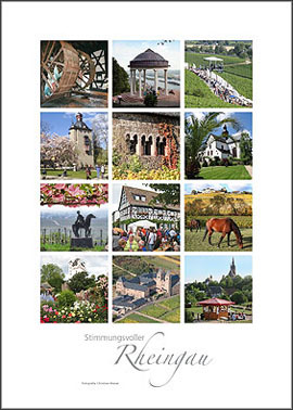 Rheingau Poster A2